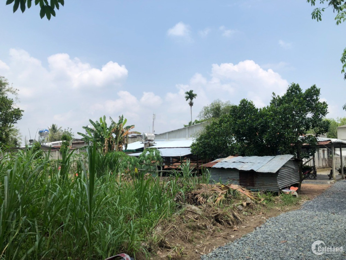 Đất Gò Dầu Tây Ninh Sổ Sẵn Giá Rẻ, Khu Dân Cư Đông