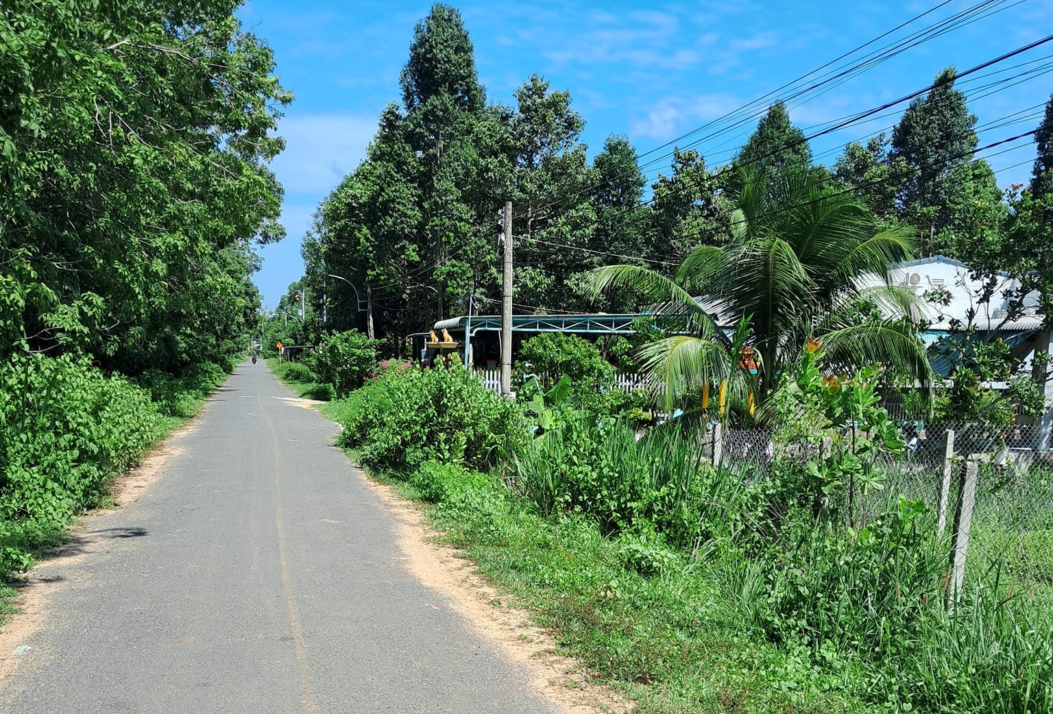 Chính chủ bán đất Tây Ninh giá rẻ, sổ sẵn, dân đông.