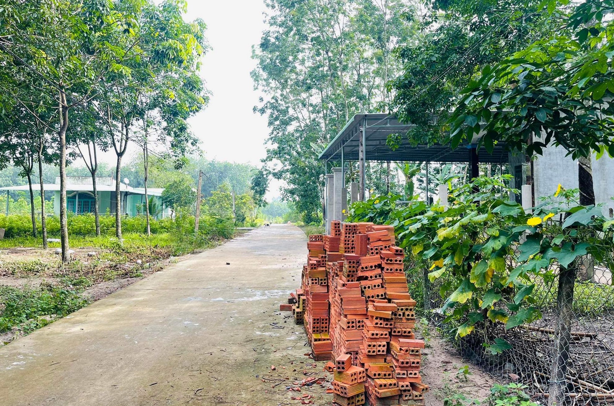 Đất Tân Khai Bình Phước giá rẻ, ngay chợ, ủy ban, có sổ sẵn
