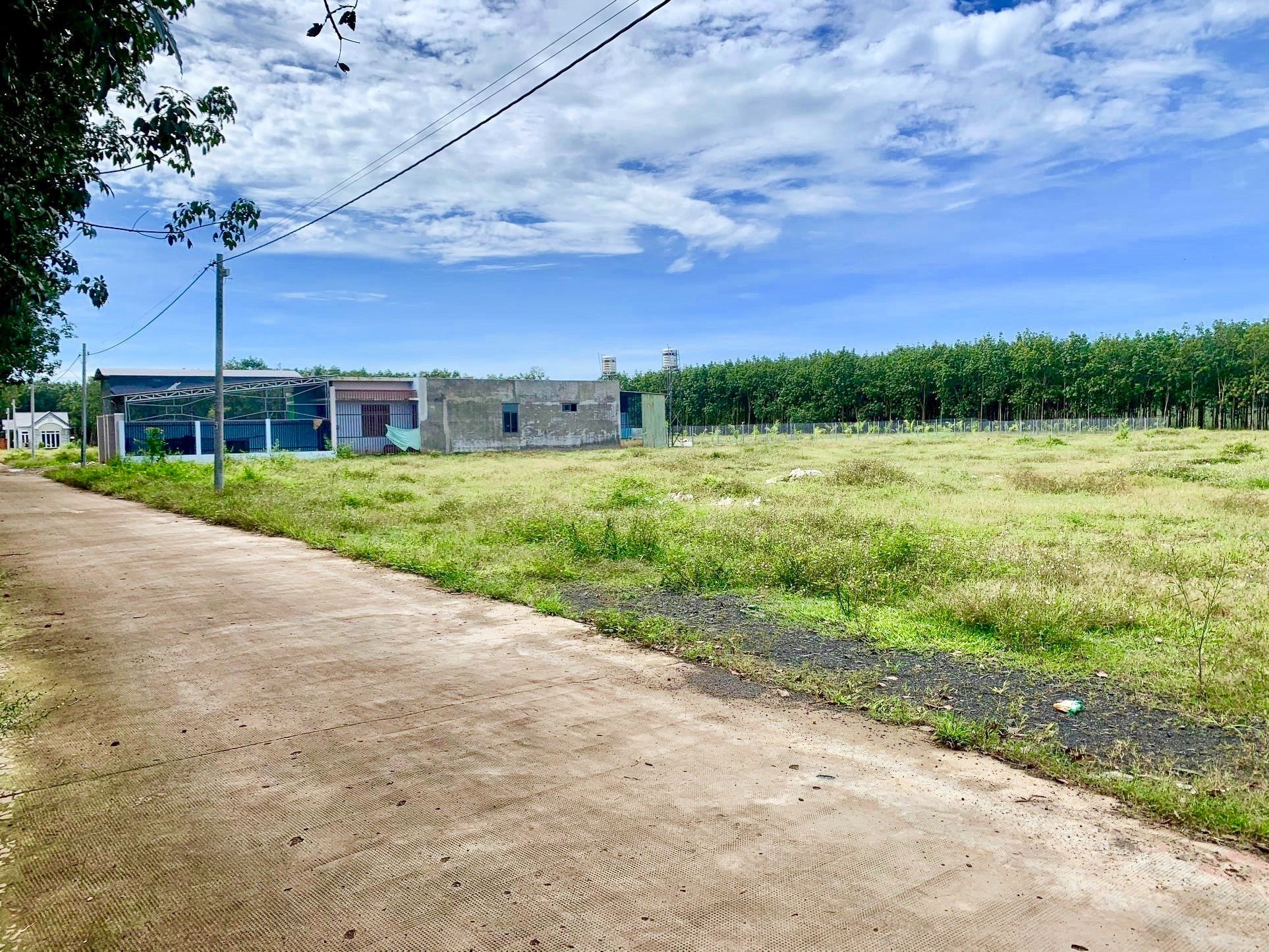 Cần bán gấp 1.050m2 đất ngay chợ, trường học tiện làm vườn về ở