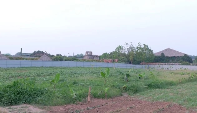 Hà Nội đấu giá cho thuê đất nông nghiệp, khởi điểm 675 đồng/m2
