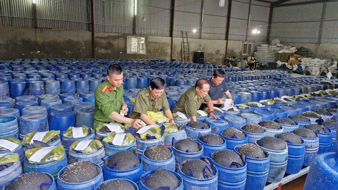 Đường dây sản xuất 3.500 tấn giá đỗ ngâm hóa chất bị triệt phá