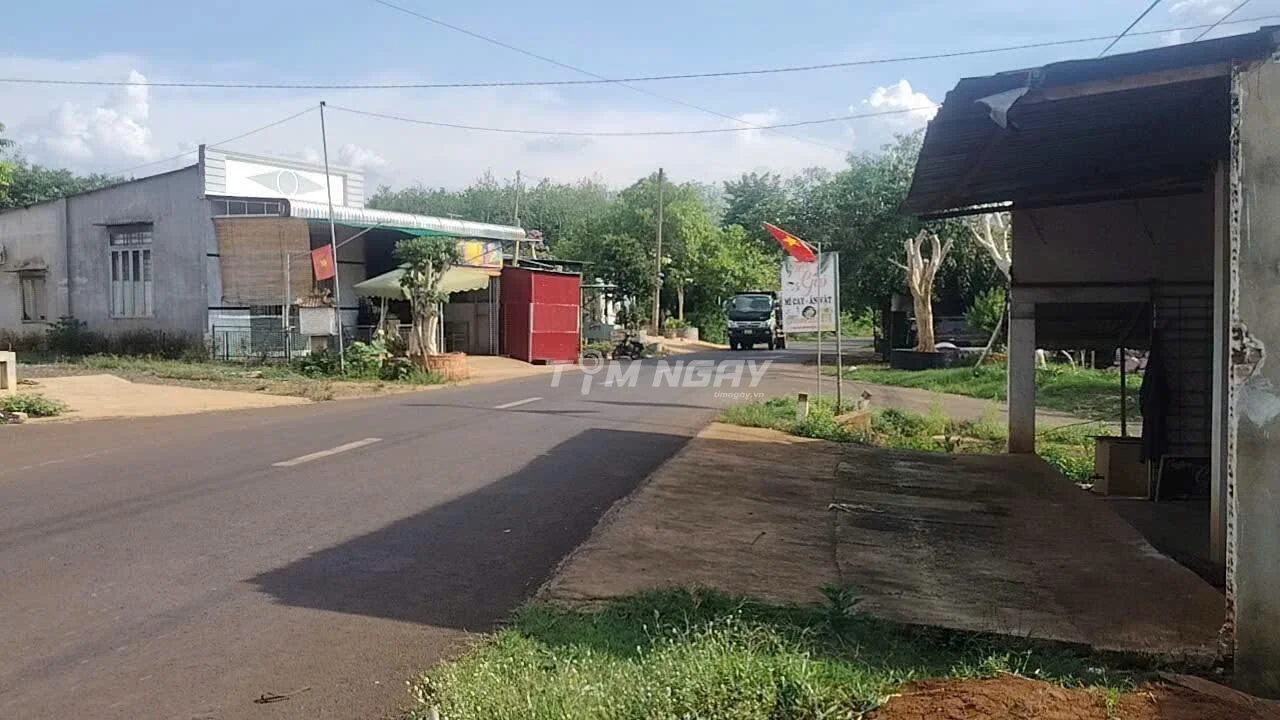 Bán đất Lộc Quang Lộc Ninh Bình Phước mặt tiền nhựa giá ngộp