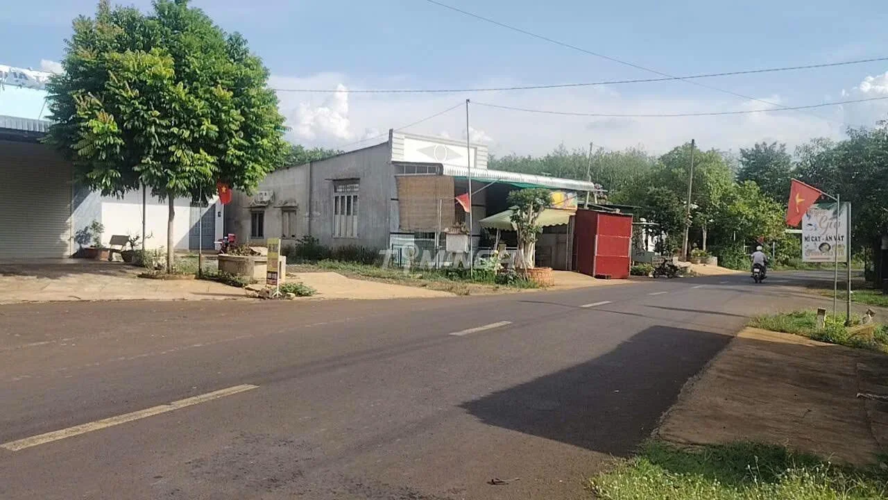 Bán đất Lộc Quang Lộc Ninh Bình Phước mặt tiền nhựa giá ngộp