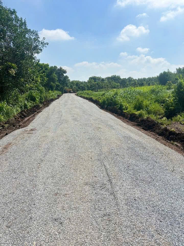 Bán 3.000m2 đất phường An Lộc giá chỉ 330 triệu/s