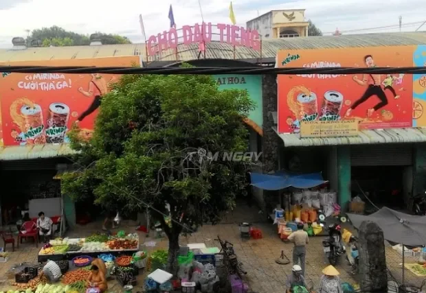 Bán đất Dầu Tiếng Bình Dương giá rẻ vị trí đẹp