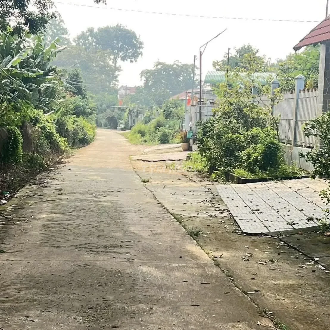 Bán nhà đất Bình Phước view suối, 1.500m2 thổ cư 100m2 có nhà trên đất