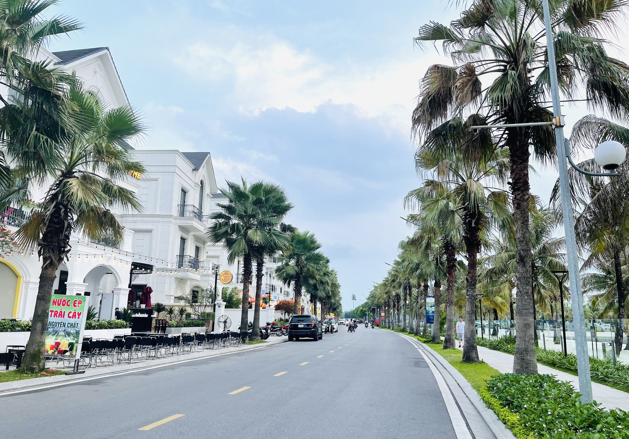 Bán biệt thự song lập mặt hồ phân khu San Hô diện tích 150m2 Vinhomes Ocean Park